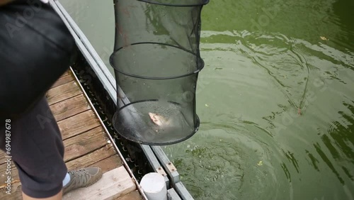 Fisherman pulls out of the water keepnet with one fish