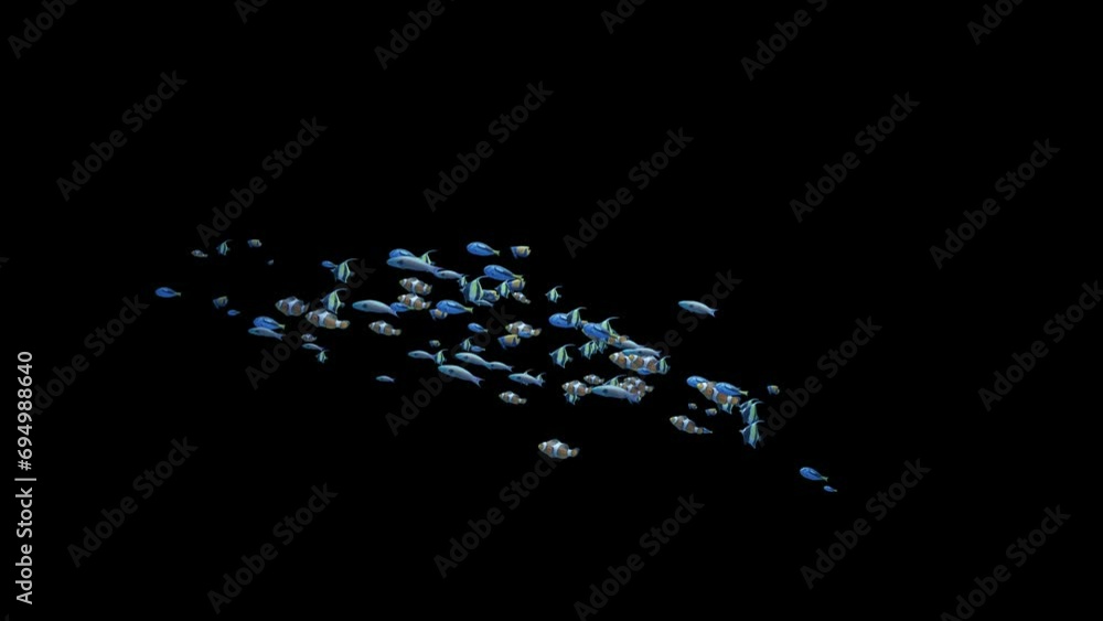 Underwater school of colorful fish loop swimming from bottom to the left with alpha