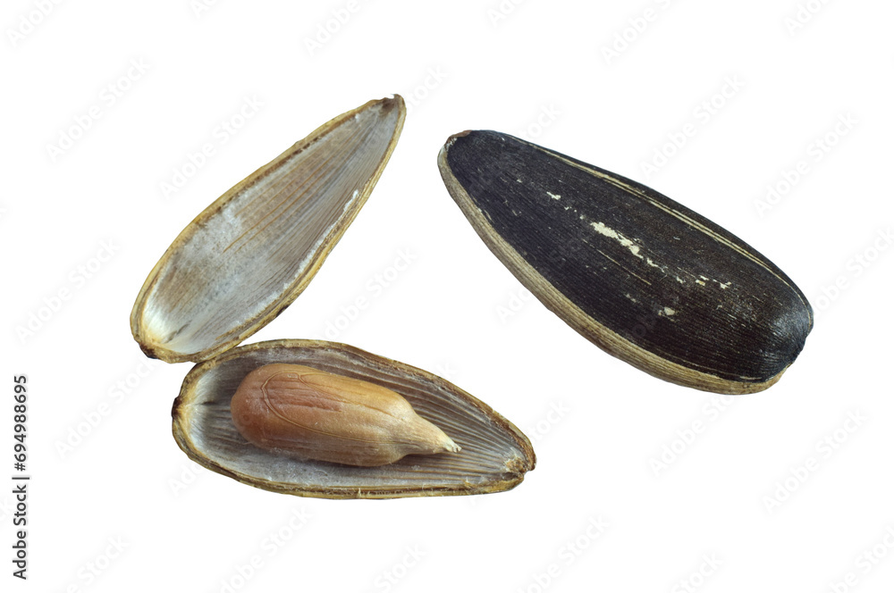 Dried sunflower seeds isolated on transparent background. File extension .png. Dried sunflower seeds isolated on transparent background. File extension .png.