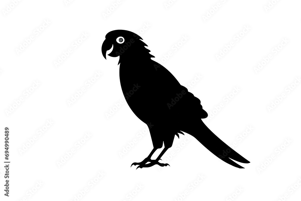 Fototapeta premium crow on a white background