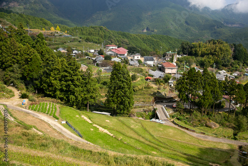 Tableau sur toile Rice paddies in the middle of the mountains of Wakayama prefecture in Japan