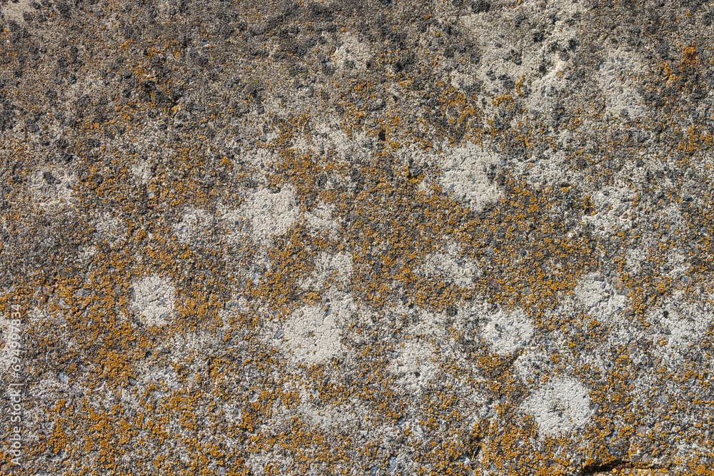 The old concrete surface is covered with lichens The old concrete surface is covered with lichens