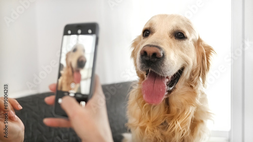 Girl takling photo of golden retriever dog photo