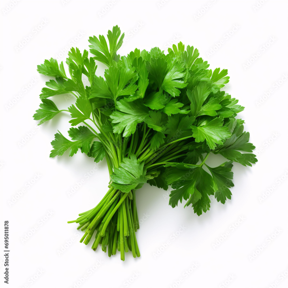 parsley bunch isolated on white background parsley bunch isolated on white background