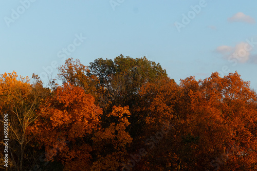 This picture was taken in the Autumn season. The Fall foliage is in peak color. The orange, brown, and yellow almost makes the trees look like they are on fire.