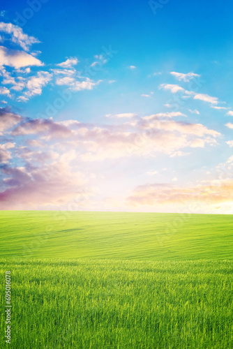 Spring landscape with green grass in the field and picturesque cloudy sky during sunset