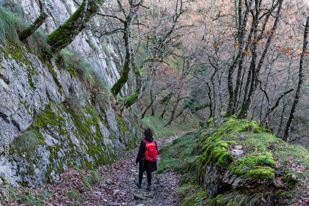 Hiker descends a steep trail in an oak forest
