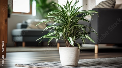 A close up of dracaena green leaf in a beige pot on a marble floor photo