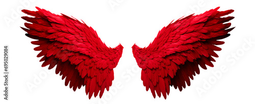 Red fantasy feather wings - pair of red angelical wings - isolated transparent PNG background - red wing photo