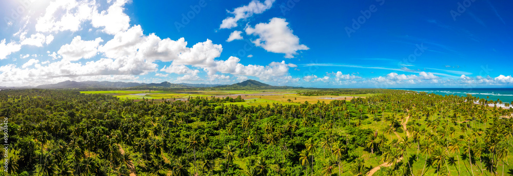 Aerial panorama of green valley with palm trees forest and mountains in the background. Beautiful tropical landscape of the Caribbean island