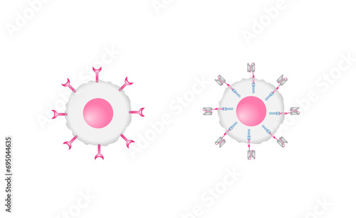 	
T cell receptor (TCR) or Chimeric antigen receptor (CAR) T-cell therapy. Cancer therapy. T cell receptor proteins that have been engineered to kill cancer cells. vector illustration.