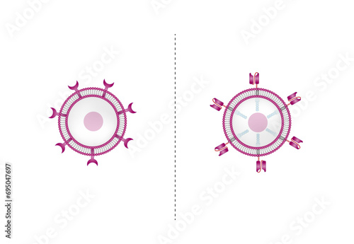 T cell receptor (TCR) or Chimeric antigen receptor (CAR) T-cell therapy. Cancer therapy. T cell receptor proteins that have been engineered to kill cancer cells. vector illustration.