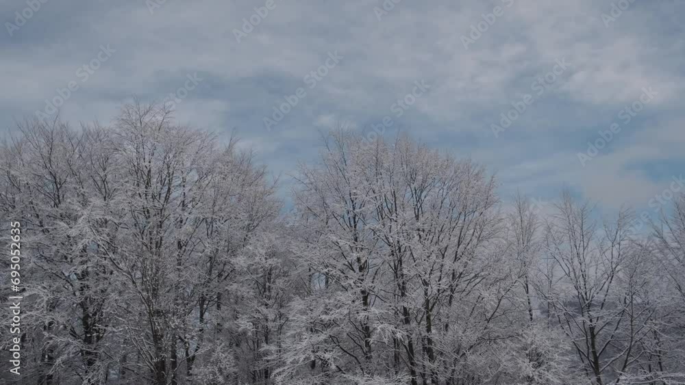 Trees in snow against a beautiful sky. Beautiful winter landscape Trees in snow against a beautiful sky. Beautiful winter landscape