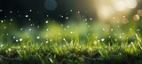 Bokeh blurred defocused background of lush, vibrant green grass with sparkling water droplets