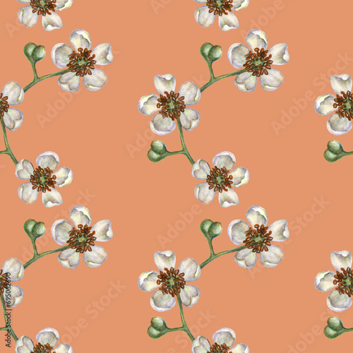 Seamless patterns with watercolor kiwi white blooming flowers for the design of fabrics  textiles  packaging  wrapping paper  backgrounds for juices  food  cakes  confectionery  sweets