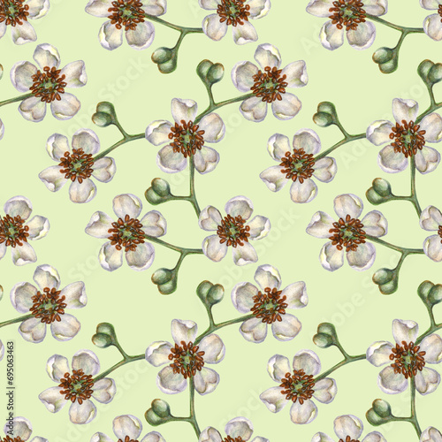Seamless patterns with watercolor kiwi white blooming flowers for the design of fabrics, textiles, packaging, wrapping paper, backgrounds for juices, food, cakes, confectionery, sweets © el_suhova