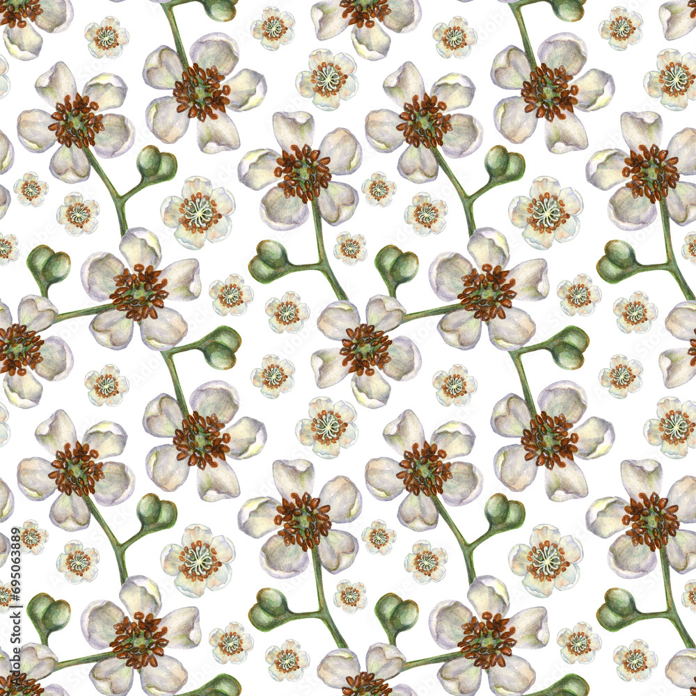 Seamless patterns with watercolor kiwi white blooming flowers for the design of fabrics, textiles, packaging, wrapping paper, backgrounds for juices, food, cakes, confectionery, sweets