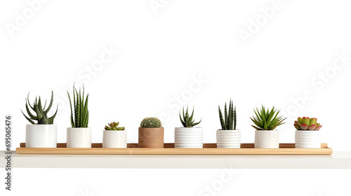 Home interior design room decor with mini potted plants cactus and succulent plants on wooden shelf on concrete wall loft style background photo