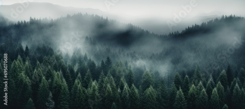 Enchanting Misty Forest, Dark Green Serenity © M.Gierczyk