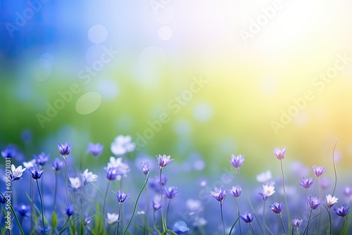 spring flowers in the grass © Vasili