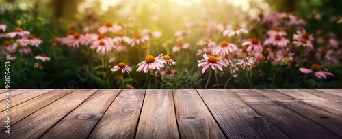 Empty rustic old wooden boards table copy space with Echinacea or coneflower plants in background. Product display template. Generative AI © Lubo Ivanko