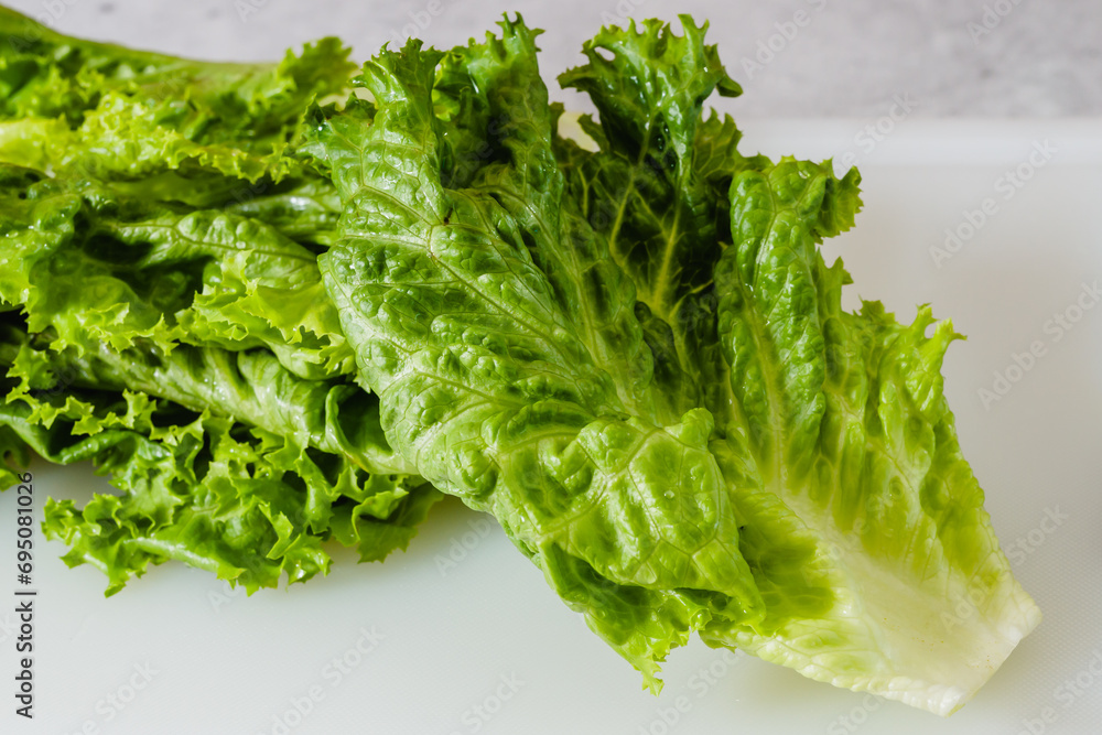 Green leaf lettuce close-up on white cutting board. Crisp fresh organic leaves close-up on the kitchen table Green leaf lettuce close-up on white cutting board. Crisp fresh organic leaves close-up on the kitchen table