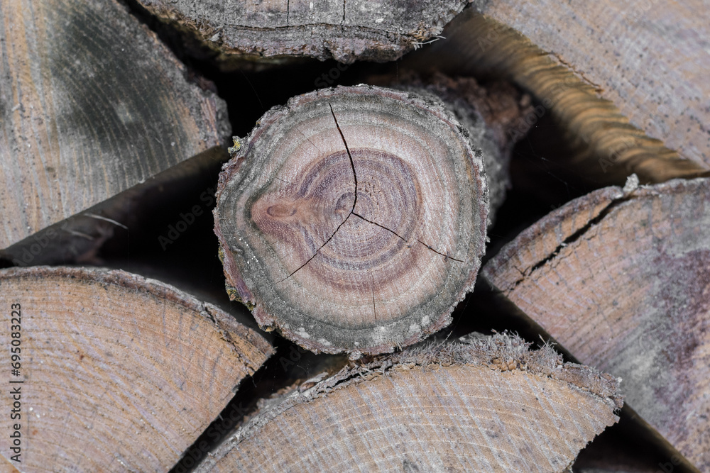 Abstract background made with wooden trunks of various freshly harvested trees stacked on top of each other in a wall. Example of biomass material or sustainable energy resource. Natural, renewable. Abstract background made with wooden trunks of various freshly harvested trees stacked on top of each other in a wall. Example of biomass material or sustainable energy resource. Natural, renewable.