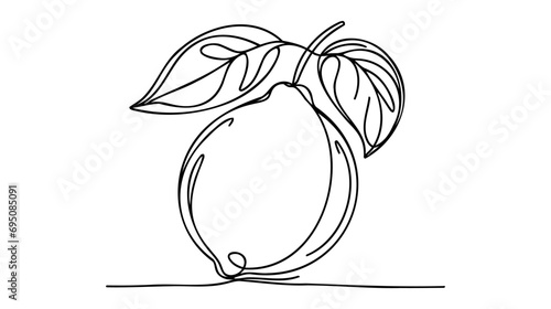 One single line drawing of whole healthy organic lemon for orchard logo identity.