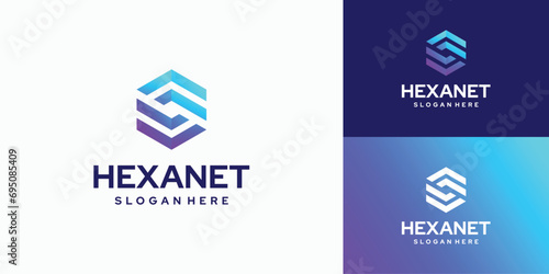 Hexagon S letter logo design