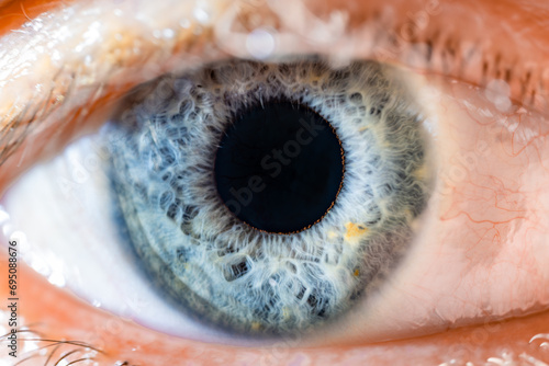 Male Blue Colored Eye With Long Lashes Close Up. Structural Anatomy. Human Iris Wide Open. Macro Detail.