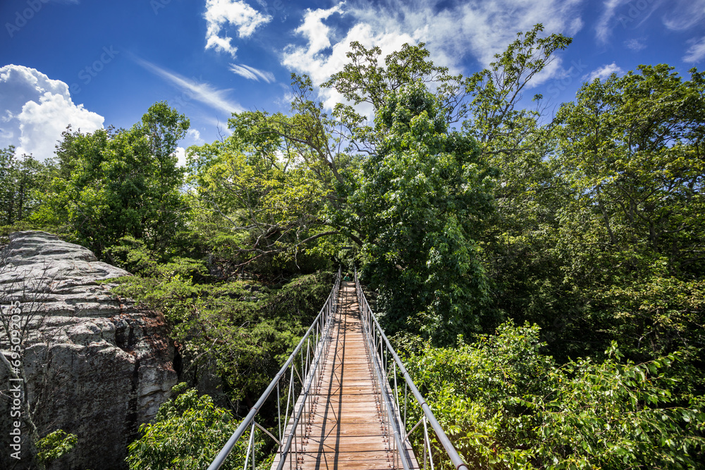 Obraz premium Lookout Mountain Gerogia, Rock City suspension bridge. Located nearby to Chattaanooga Tennesse