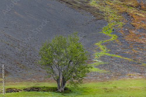 Iceland  © jacek swiercz