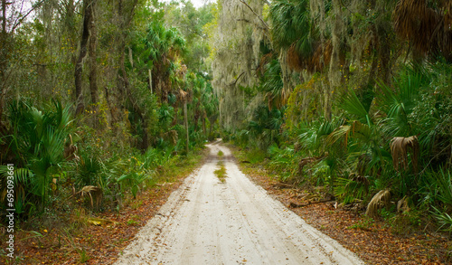 Foto Rugged dirt sand path passing through remote peaceful quiet natural habitat in old southern rural hidden North Florida