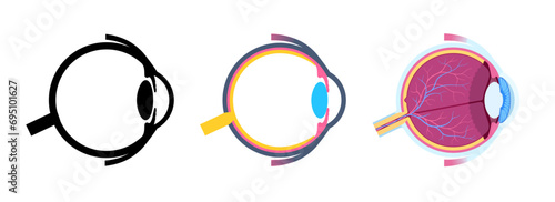 Eye anatomy poster