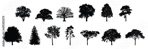highly detailed tree silhouette set photo