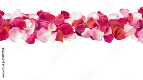 Pink and White Flowers Blooming on transparent backgrond. Banner or Border.