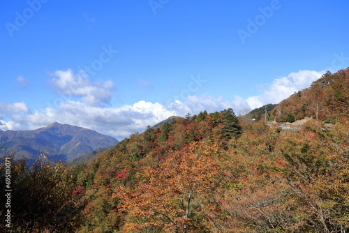 剣山系の紅葉を眺める （四国 徳島県 みどりの一里塚付近）