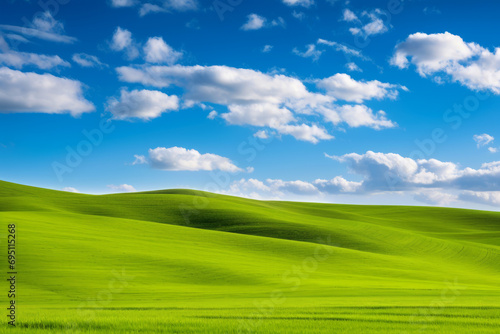 Endless green fields under cloudy blue sky. Natural landscape
