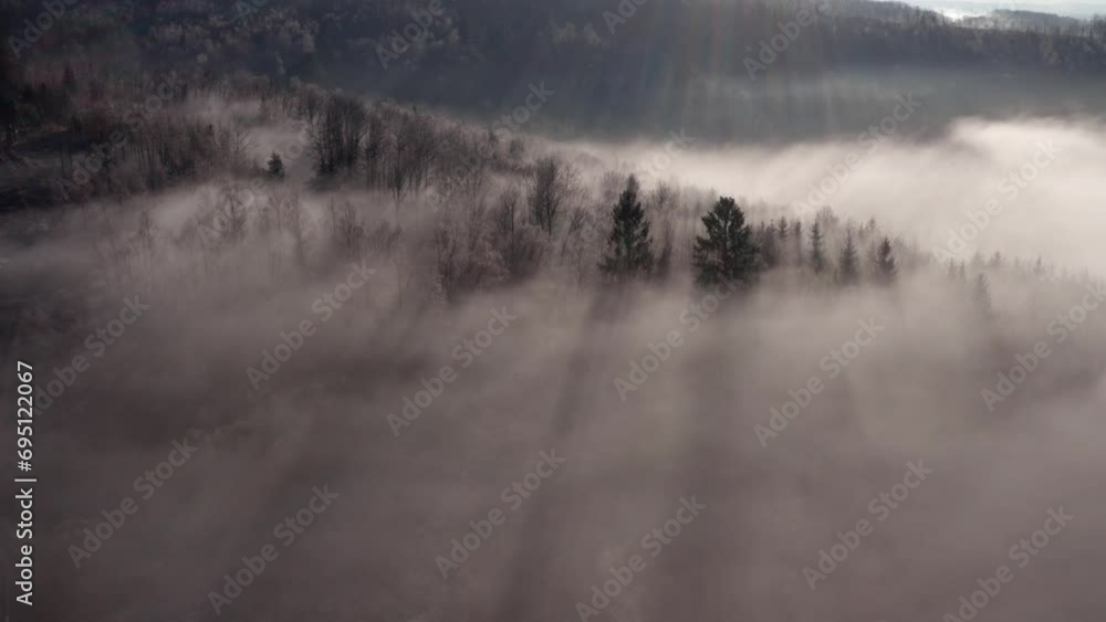 beautiful high fog in a winter forest video beautiful high fog in a winter forest video