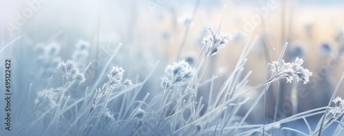 frost on grass © Pixelmagic