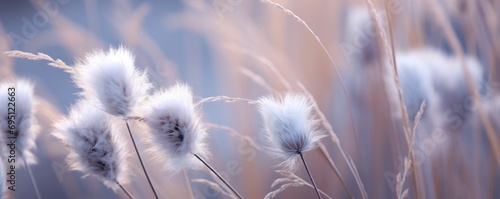 grass in the wind © Pixelmagic