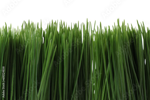 Artificial green grass, cut out isolated