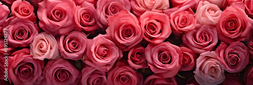 pattern of beautiful blooming pink roses