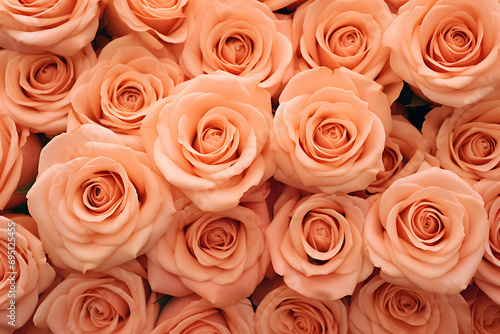 pattern of beautiful blooming peach fuzz roses