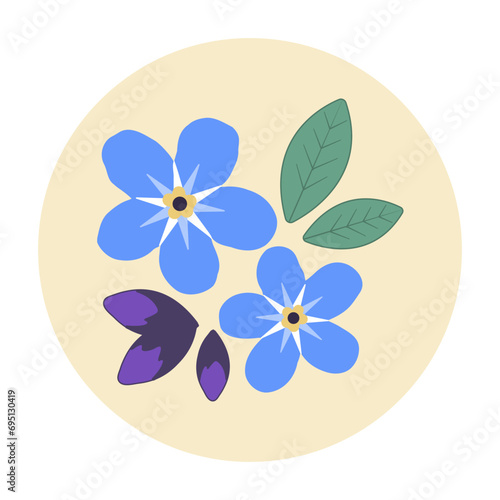 Illustration of flower forget-me-not isolated. Hand drawn vector template