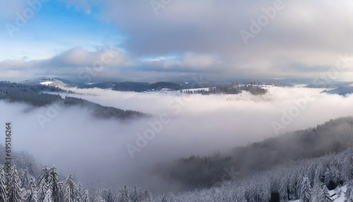Enigmatic snowy forest in Black Forest with misty rising fog  a haunting winter landscape shrouded in darkness