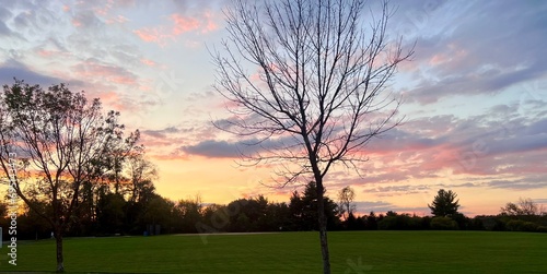 Autumn sunset on the field