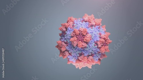 Biological assembly of poliovirus. Rendering of viral agent which causes disabling and life-threatening poliomyelitis disease. photo