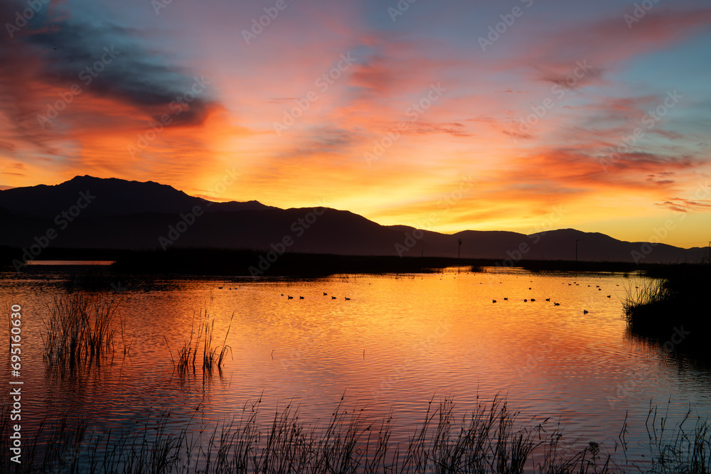Brilliant sunrise with golden and blueish hues and their reflections in a pond in Riverside California