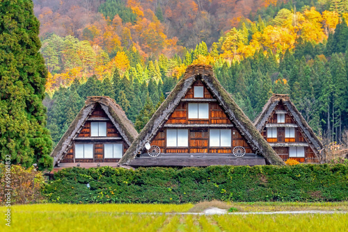 Historical Japanese Village. Shirakawa-go, Ono District, Gifu Prefecture, Japan In the autumn leaves change color